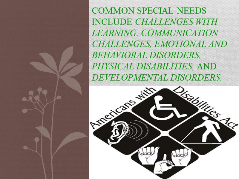 Common special needs include challenges with learning, communication challenges, emotional and behavioral disorders, physical